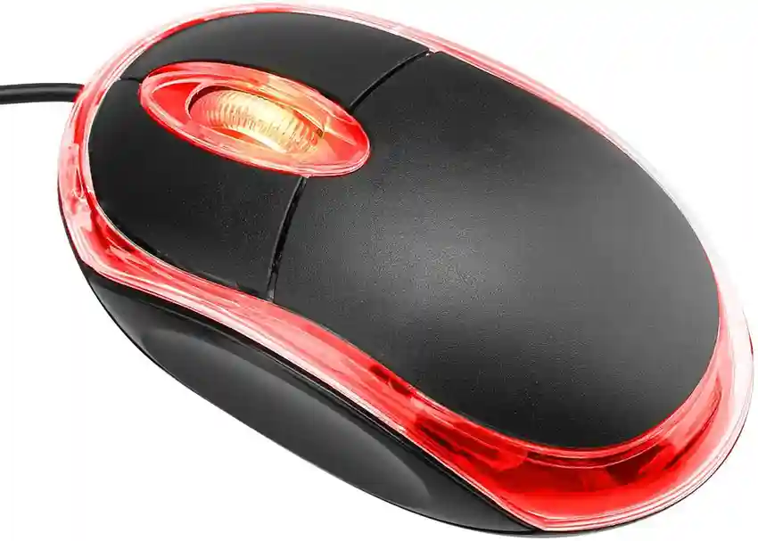 Mouse