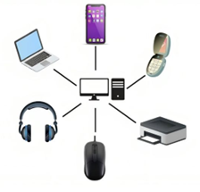 Local Networking