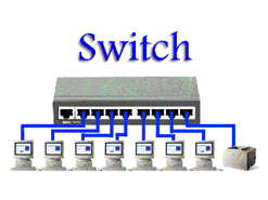 LAN Switch